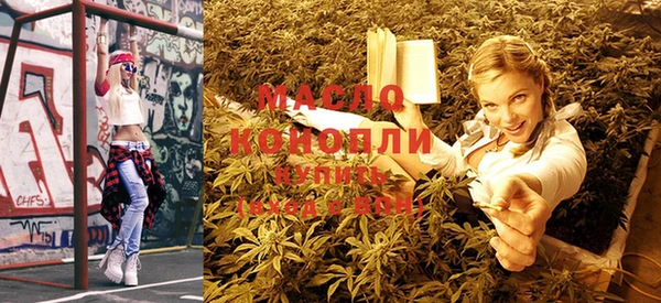 тгк Абаза