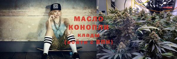 тгк Абаза